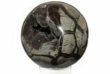 Septarian Geode Sphere ( Lbs) - Madagascar #185649-2